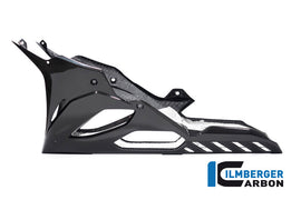 Stradale - Vasca Carena OEM Catalizzatore Originale CARBONIO BMW S1000RR/M1000RR - 2019-