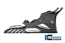 Stradale - Vasca Carena OEM Catalizzatore Originale CARBONIO BMW S1000RR/M1000RR - 2019-