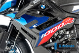 Carene Laterali Coppia CARBONIO BMW M1000R - 2023-