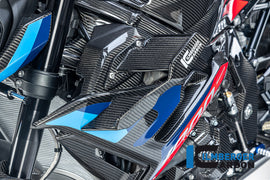Ali Wings CARBONIO BMW M1000R - 2023-