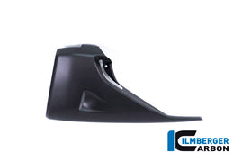 Puntale (2 pezzi) CARBONIO DUCATI XDiavel - 2018-