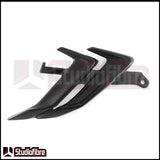 Inserto Pinna Carena CARBONIO BMW S1000RR/M1000RR - 2019-2024