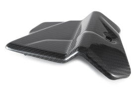 Cover Elettronica CARBONIO BMW S1000R - 2021- / M1000R - 2023-