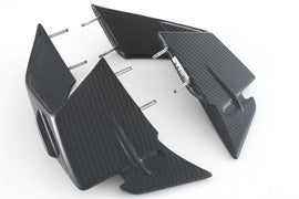 Ali Carena Stradale CARBONIO BMW S1000RR - 2023-2024