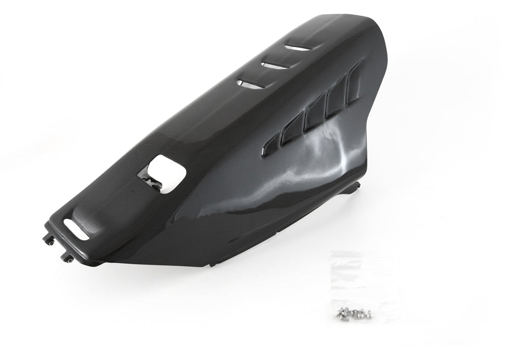 Vasca Estensione Stradale CARBONIO DUCATI Panigale V4/S - 2025-