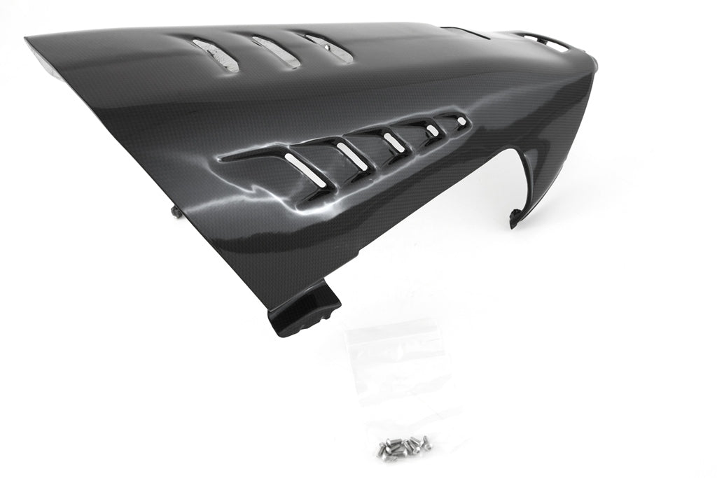 Vasca Estensione Stradale CARBONIO DUCATI Panigale V4/S - 2025-