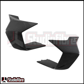 Ali Wings CARBONIO BMW M1000RR - 2023-2024