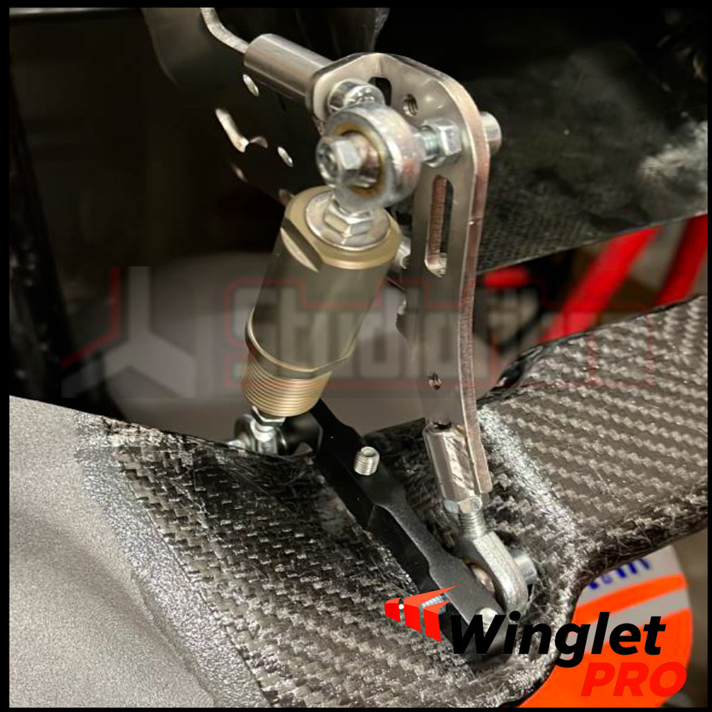 Ala passiva Winglet Pro COMPOSITO DUCATI V4 V4R V4S