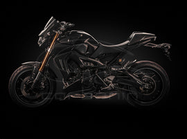 Fianchetti Posteriori CARBONIO YAMAHA MT09 - 2013-2016