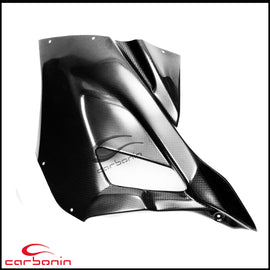 Carena PISTA Completa CARBONIO (inclusi 10 ganci rapidi e cover serbatoio) BMW S1000RR - 2019-2021