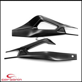 Protezioni Forcellone CARBONIO BMW S1000RR - 2019-