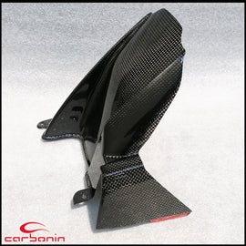 Parafango Posteriore CARBONIO BMW S1000RR/M1000RR - 2019-