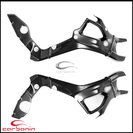 Protezioni Telaio CARBONIO BMW S1000RR - 2019-