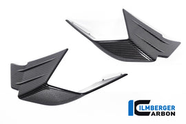 Ali Carena Stradale CARBONIO BMW S1000RR/M1000RR - 2019-2022