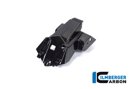 Portatarga CARBONIO BMW S1000R - 2021- / M1000R - 2023-