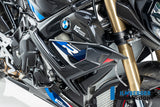 Carene Laterali Coppia CARBONIO BMW S1000R - 2021-