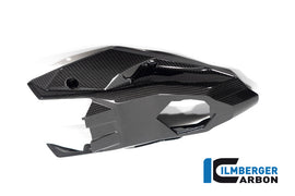 Sottocoda CARBONIO BMW S1000R - 2021- / M1000R - 2023-