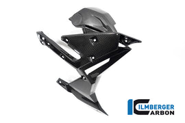 Carene Laterali Radiatore CARBONIO BMW S1000R - 2021-