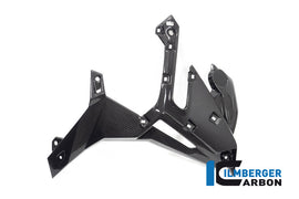 Carene Laterali Radiatore CARBONIO BMW S1000R - 2021-