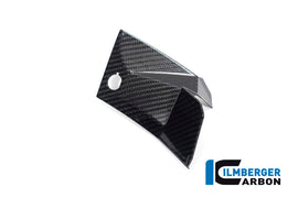Cover Laterali Strumento CARBONIO BMW S1000XR - 2020-2021