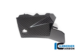 Cover Laterali Strumento CARBONIO BMW S1000XR - 2020-2021