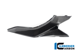 Fianchetti Codino CARBONIO BMW S1000XR - 2020-2021