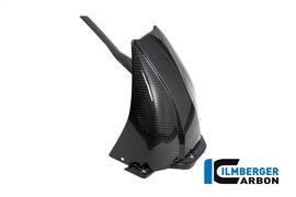Parafango Posteriore CARBONIO BMW S1000XR - 2020-2021