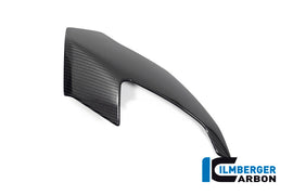 Coppia Fianchetti Cupolino CARBONIO BMW S1000XR - 2020-2021