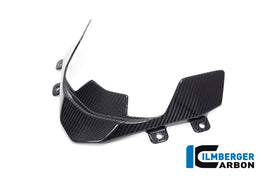 Cupolino Flap CARBONIO BMW S1000XR - 2020-2021
