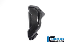 Load image into Gallery viewer, Fianchetti Radiatore Completo CARBONIO BMW S1000XR - 2020-2021