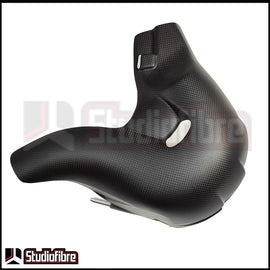 Cover Scarico (Euro 5) CARBONIO DUCATI V4/V4S/V4R - 2018-2024