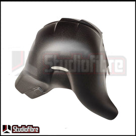 Cover Scarico (Euro 5) CARBONIO DUCATI V4/V4S/V4R - 2018-2024