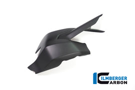 Protezione Forcellone CARBONIO DUCATI Monster 1200/1200S - 2017-