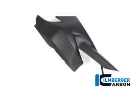 Protezione Forcellone CARBONIO DUCATI Monster 1200/1200S - 2017-