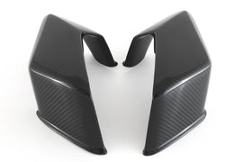 Ali Carena Stradale CARBONIO BMW S1000RR/M1000RR - 2019-