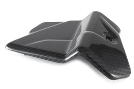 Cover Elettronica CARBONIO BMW S1000RR/M1000RR - 2019-