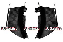 Ali Wings Complete CARBONIO DUCATI Multistrada V4 / Pikes Peak / RS