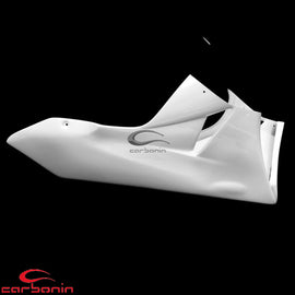 Carena PISTA Completa AVIOFIBRA (inclusi 4 ganci rapidi) KAWASAKI ZX6R - 2009-