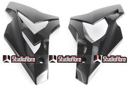 Fianchetti Laterali CARBONIO BMW S1000R - 2013-2016
