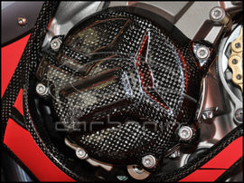 PROTEZIONE CARTER ALTERNATORE CARBONIO BMW S1000RR (fissaggio viti)