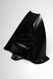 Parafango Posteriore CARBONIO BMW S1000RR - 2010-2018