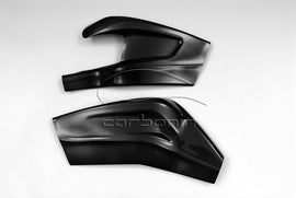 Protezioni Forcellone CARBONIO BMW S1000RR