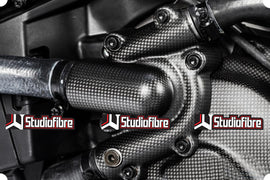 Copri Pompa Acqua CARBONIO DUCATI Monster 821/1200/1200S - 2014-2016