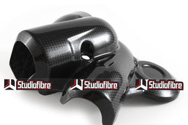 Protezione Pompa Acqua CARBONIO DUCATI Multistrada 1200 - 2015-2017