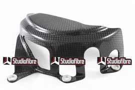 Cover Alternatore CARBONIO DUCATI Panigale 899/959/1199/1299/V2 955