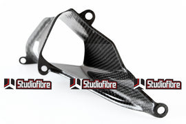 Prese Aria Codino CARBONIO DUCATI Panigale 899/1199