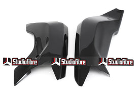 Protezioni forcellone CARBONIO DUCATI Panigale 899/959