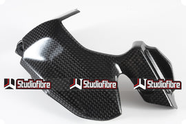 Protezione Pignone CARBONIO DUCATI Panigale 899/959/1199/1299/V2 955