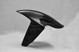 Parafango Anteriore CARBONIO PANIGALE 899/959/1199/1299