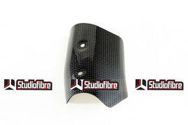 Paracalore Collettore CARBONIO DUCATI Streetfighter 848/1100/1100S